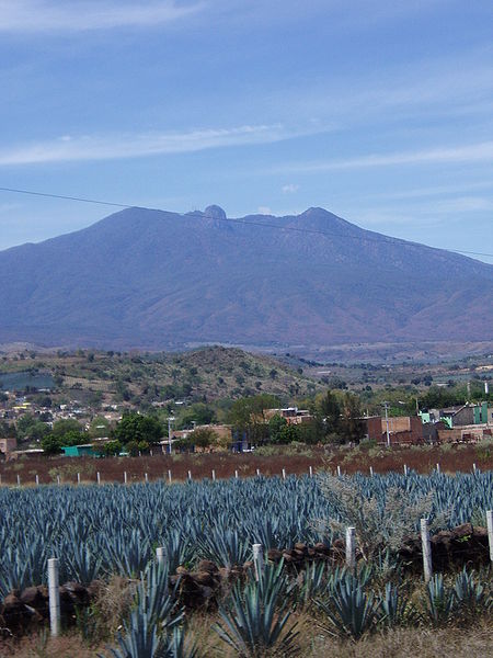 Archivo:Vista panorámica del cerro de Tequila, Jal..jpg
