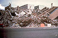 Terremoto 1985-2.jpg